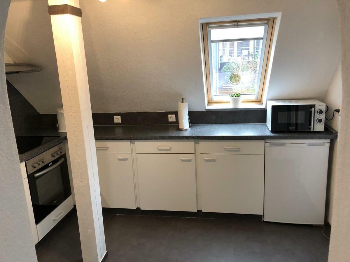 Ferienwohnung Blick Ins Land 戈斯拉尔 外观 照片