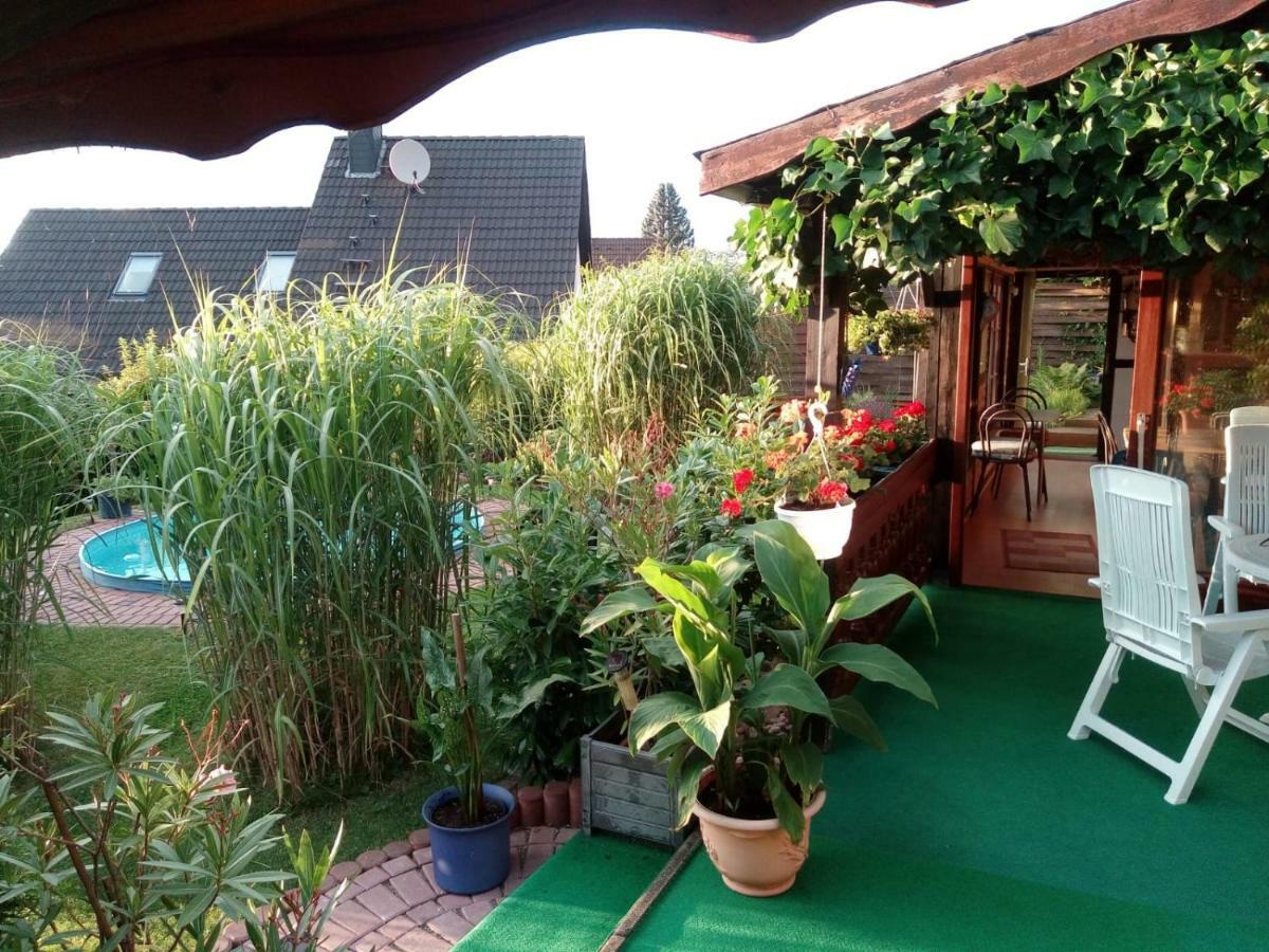 Ferienwohnung Blick Ins Land 戈斯拉尔 外观 照片